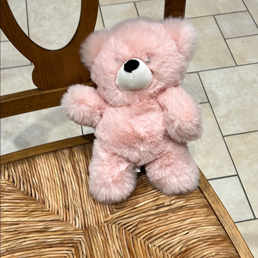 Pink Plush Teddy Bear